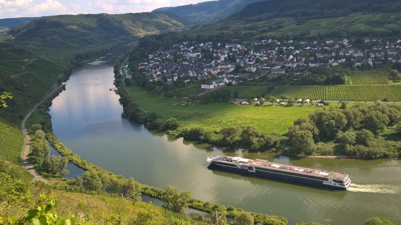 Апартаменты Mosel Ausblick Целль-ан-дер-Мозель Экстерьер фото