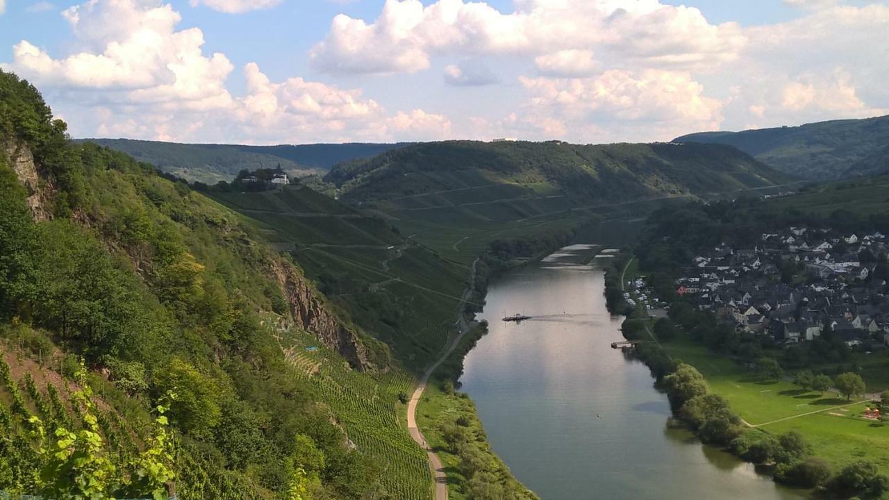 Апартаменты Mosel Ausblick Целль-ан-дер-Мозель Экстерьер фото