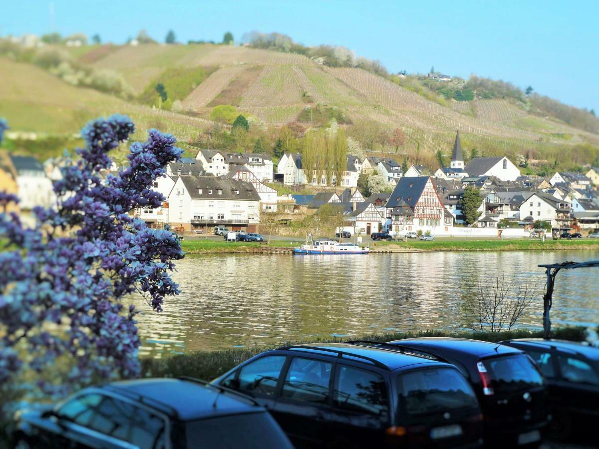 Апартаменты Mosel Ausblick Целль-ан-дер-Мозель Экстерьер фото