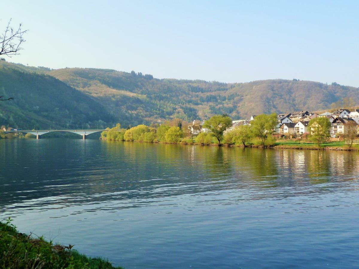 Апартаменты Mosel Ausblick Целль-ан-дер-Мозель Экстерьер фото