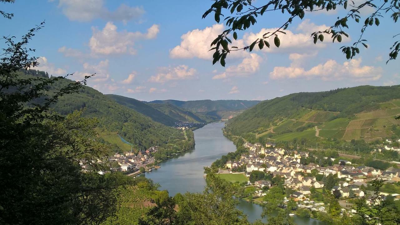 Апартаменты Mosel Ausblick Целль-ан-дер-Мозель Экстерьер фото