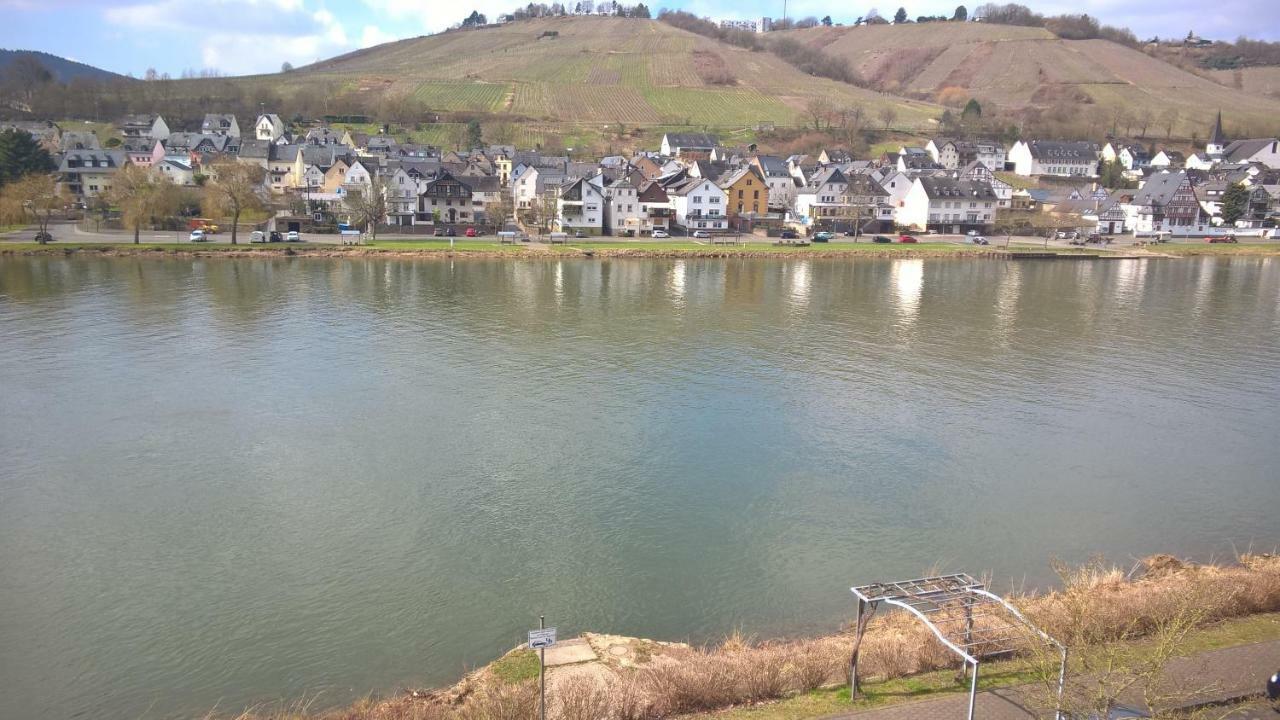 Апартаменты Mosel Ausblick Целль-ан-дер-Мозель Экстерьер фото